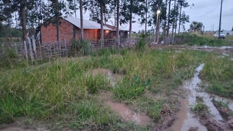 Vivienda iluminada en un paisaje rural, rodeada de pasto alto y barro con agua estancada, en un ambiente tranquilo.