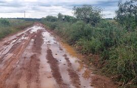 Camino de tierra húmedo con charcos, rodeado de vegetación, sin personas visibles.
