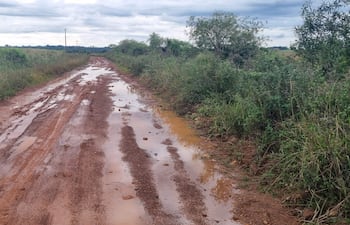 Camino de tierra húmedo con charcos, rodeado de vegetación, sin personas visibles.
