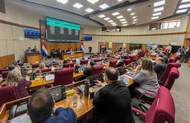 Sesión de la Cámara de Senadores. Foto Gentileza del Senado.