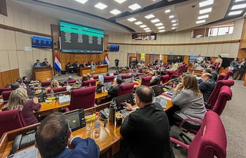 Sesión de la Cámara de Senadores. Foto Gentileza del Senado.