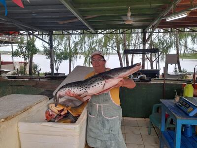 Trabajadores de la zona de Remanso muestran los pescados que están en oferta antes del inicio de la veda pesquera.