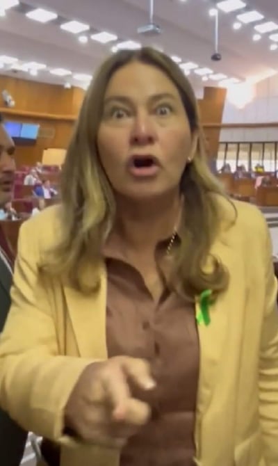 Cristina Villalba, diputada.