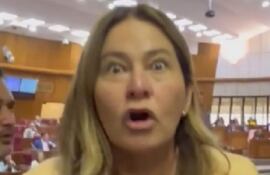 Cristina Villalba, diputada.