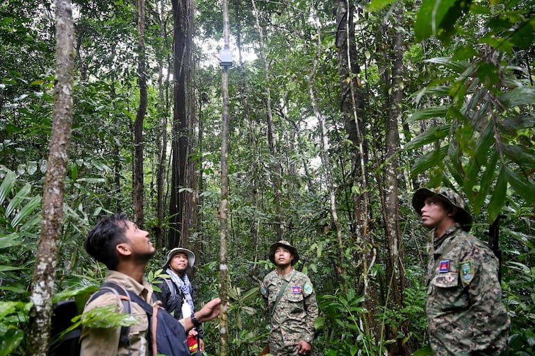 Esta fotografía tomada el 9 de junio de 2026 muestra a Chea Sareach (izquierda), coordinadora senior de Biodiversidad y Ciencia de Conservation International Cambodia, junto a los guardabosques Nam Seanglay (derecha) y Hou Sophoan (centro), observando un dispositivo de bioacústica en el Parque Nacional de Cardamomo, en la provincia de Koh Kong. Sobre el murmullo de la lluvia que cae en cascada a través del dosel de la selva, se eleva el sobrecogedor llamado de un gibón crestado que canta para ahuyentar a los intrusos en las montañas Cardamomo de Camboya.