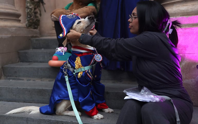 Una mujer alista un perro previo al desfile de la celebración del Jagua Patriotaeste jueves, en Asunción.