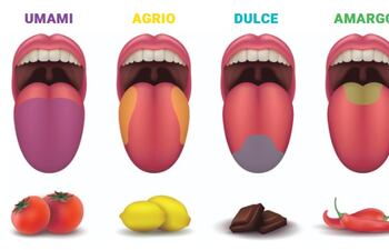 Cuidado e higiene del sentido del gusto