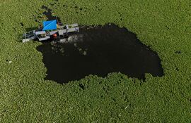 Embarcación de empleados gubernamentales trabajando para retirar plantas acuáticas (Pistia stratiotes) del lago Suchitlán, en Suchitoto, El Salvador, el 12 de agosto de 2025.