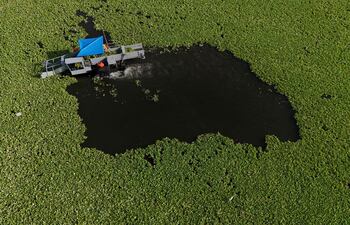 Embarcación de empleados gubernamentales trabajando para retirar plantas acuáticas (Pistia stratiotes) del lago Suchitlán, en Suchitoto, El Salvador, el 12 de agosto de 2025.