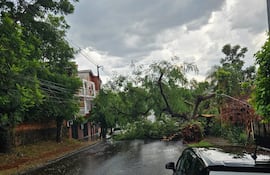 Intenso temporal genera afectaciones en Itapúa