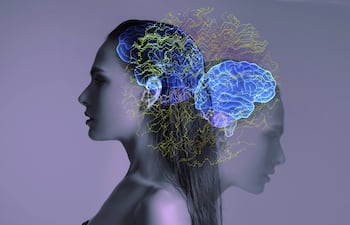 Funciones cognitivas del cerebro.