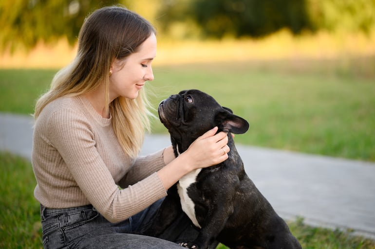 Perro observa a su dueño.