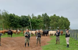 Efectivos policiales custodiando a los animales recuperados en Gral. Morínigo.