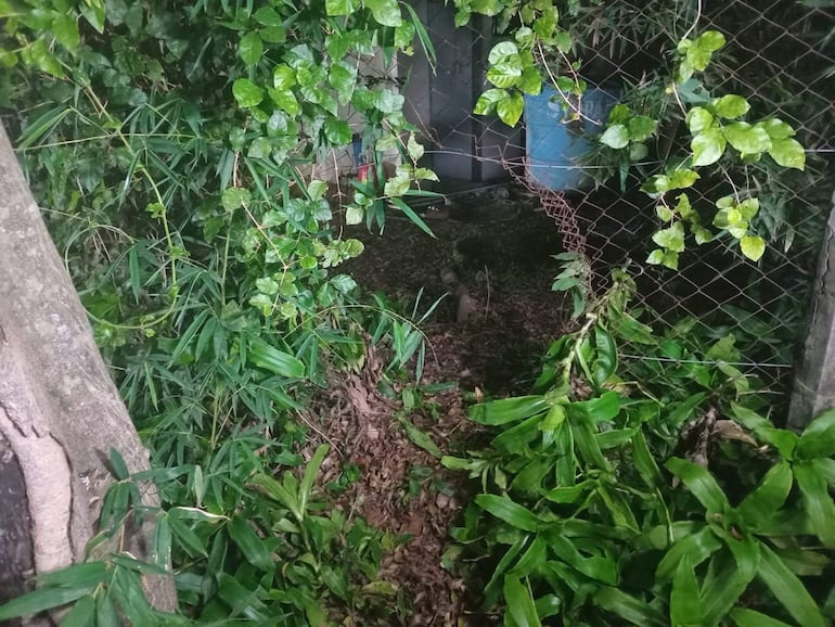Video: delincuentes intentan asaltar por tercera vez una vivienda y atacan a su dueña