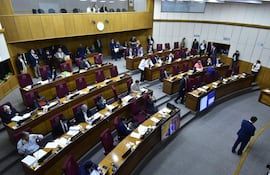 Sesión extraordinaria de la Cámara de Senadores.