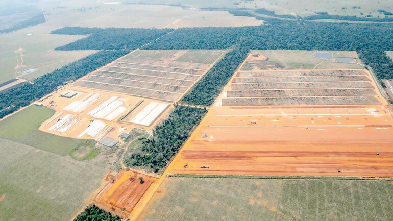 La visión de Mauricio Moller: 60 años de tradición detrás del éxito ganadero