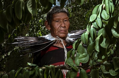 Fotografía tomada en la comunidad Chaidi, del pueblo Ayoreo Totobiegosode. (Fapi)