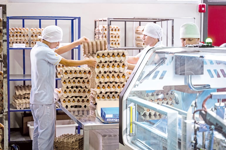 El desafío de Gustavo Koo: de una granja familiar a la misión de trascender sin olvidar la gratitud