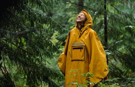 Mujer alegre en el bosque.