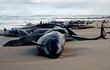 Un grupo de 157 delfines fue encontrado varado en una playa remota de la isla sureña de Tasmania, en Australia, según informaron las autoridades ambientales, mientras veterinarios se apresuraban al lugar.