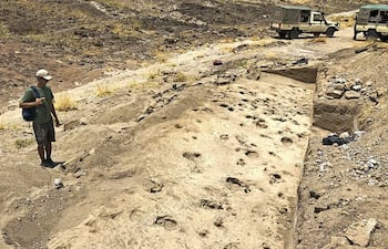 Vista del yacimiento GaJi10, a orillas del lago Turkana, en el norte de Kenia. El análisis de huellas fósiles de hace 1,4 millones de años ha permitido concluir que uno de los antepasados del Homo sapiens en Kenia, Paranthropus boisei, era mucho más grande de lo que la ciencia pensaba hasta ahora, llegando a medir 1,80 metros y a pesar 75 kilos.