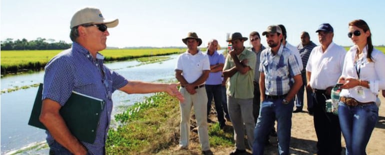 Con su experiencia, el Ing. Héctor Ramírez forjó el crecimiento de la producción arrocera en nuestro país.