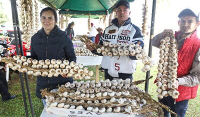 Fiesta del Ajo se realizó en Itapúa.