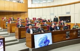 Gobernadores en la comisión de Legislación del Senado sobre el proyecto que descentraliza la administración del programa hambre cero en las escuelas.