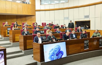 Gobernadores en la comisión de Legislación del Senado sobre el proyecto que descentraliza la administración del programa hambre cero en las escuelas.