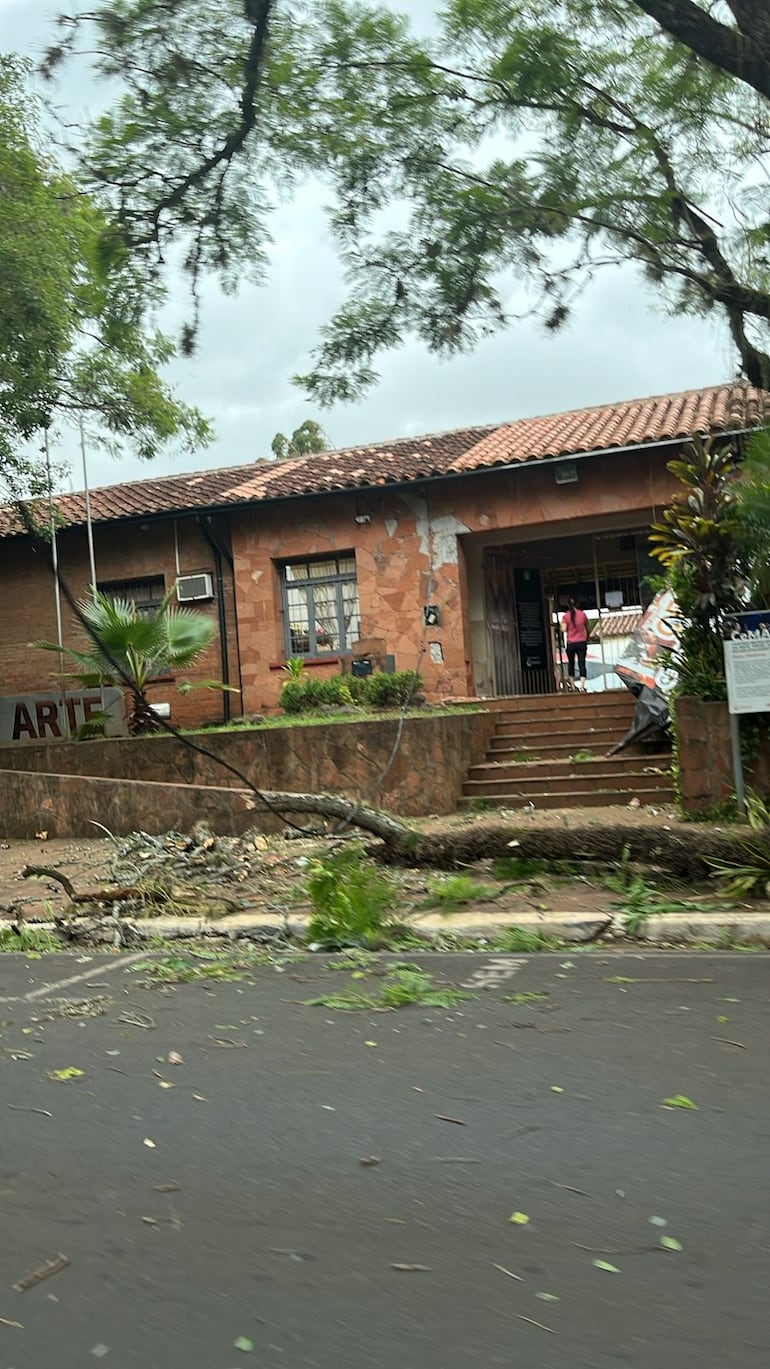 Tormentas con fuertes ventarrones causan estragos en Encarnación