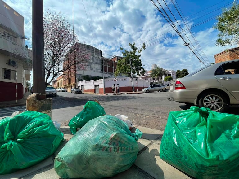 Bolsas de basura verdes en la acera, con un árbol y un coche estacionado al fondo, bajo un cielo nublado.