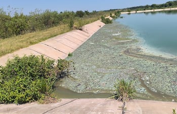 Falta de mantenimiento para que las piletas puedan funcionar adecuadamente.