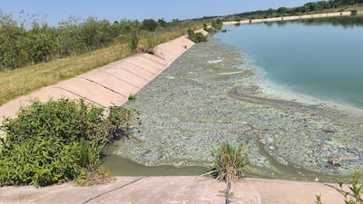 Falta de mantenimiento para que las piletas puedan funcionar adecuadamente.