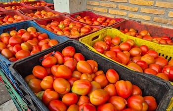 Tomates