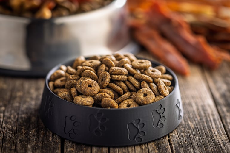 Perros y alimento seco o balanceado.