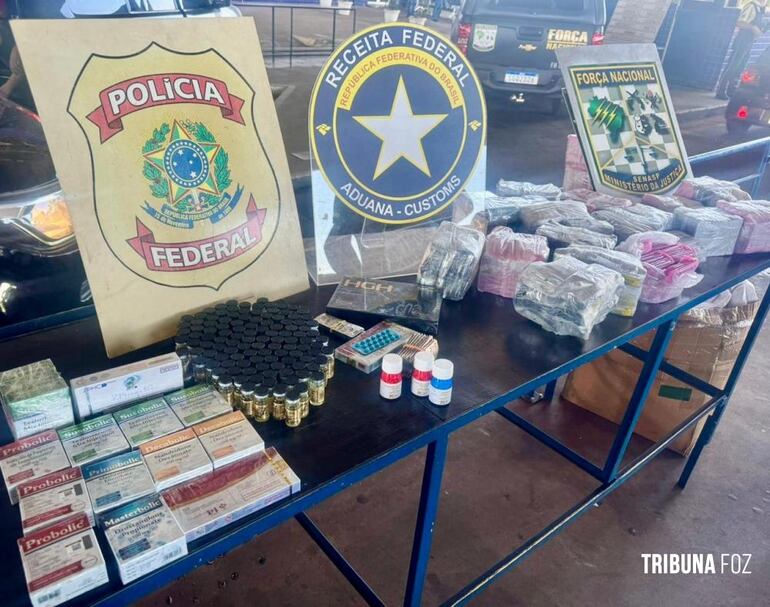 La carga de anabolizantes incautada.