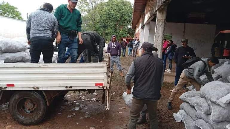 Cuestionan la entrega selectiva de semillas de papa a productores de Paraguarí.