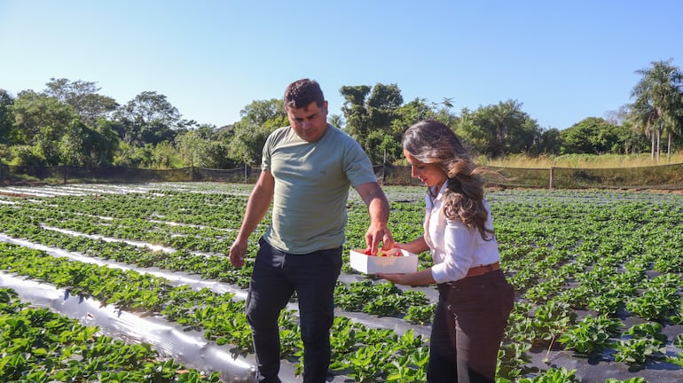Entre frutos y esfuerzo, los productores de Paso Puente celebran una temporada prometedora.