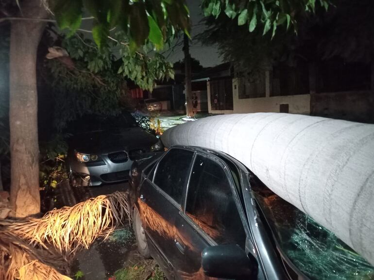 Árbol cae sobre auto y deja barrio sin energía.
