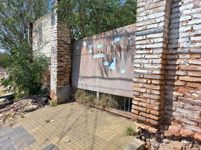 La maleza sobresale del edificio perteneciente a la Facultad de Medicina.