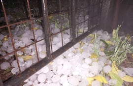 Suelo cubierto de granizo junto a reja de metal, con hojas verdes y amarillas dispersas.