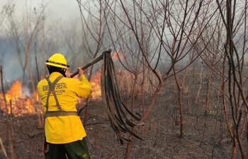 Bomberos Voluntarios de Concepción realizan los trabajos para sofocar los incendios.