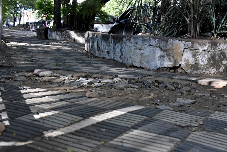 Veredas y canteros rotos en torno a la Plaza Italia. El abandono del lugar es generalizado.