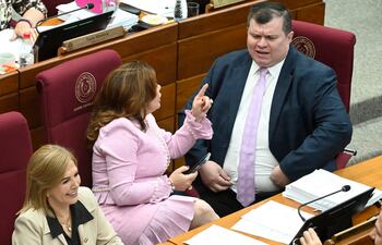 El senador liberocartista Dionisio Amarilla, en la sesión del Senado realizada el miércoles pasado.