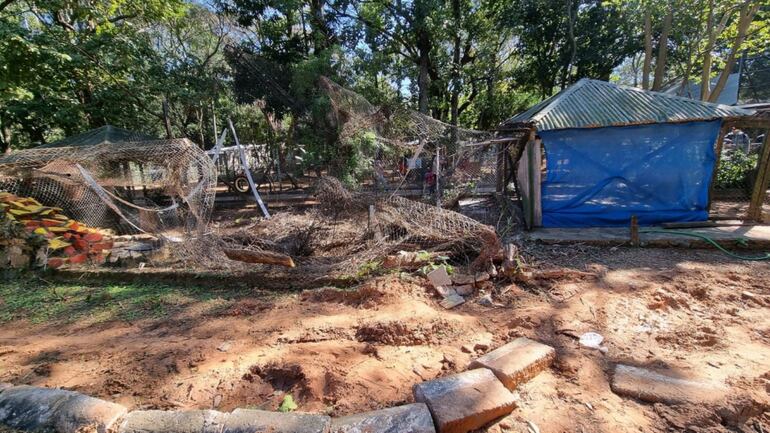 En pésimas condiciones se encuentran los hábitats de los animales en Zoológico de Asunción.