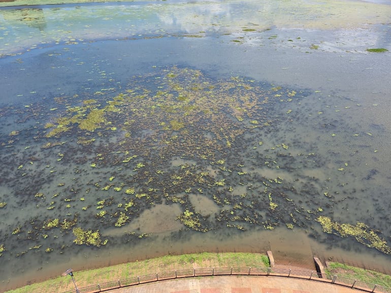 Alerta en Encarnación y Cambyretá por posible contaminación del arroyo Poti’y