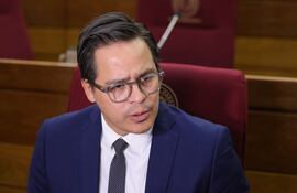 Federico Mora, vicemistro de Educación Superior. Foto Prensa Senado.