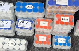 Frascos de vidrio etiquetados con diversos nombres, organizados en cajas transparentes. Sin personas visibles.