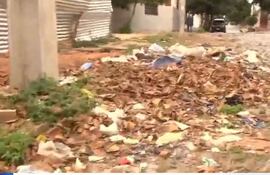 Basura esparcida en plena calle en el barrio Sajonia.