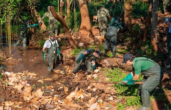 Una vez más, se extrajo una gran cantidad de residuos del arroyo.